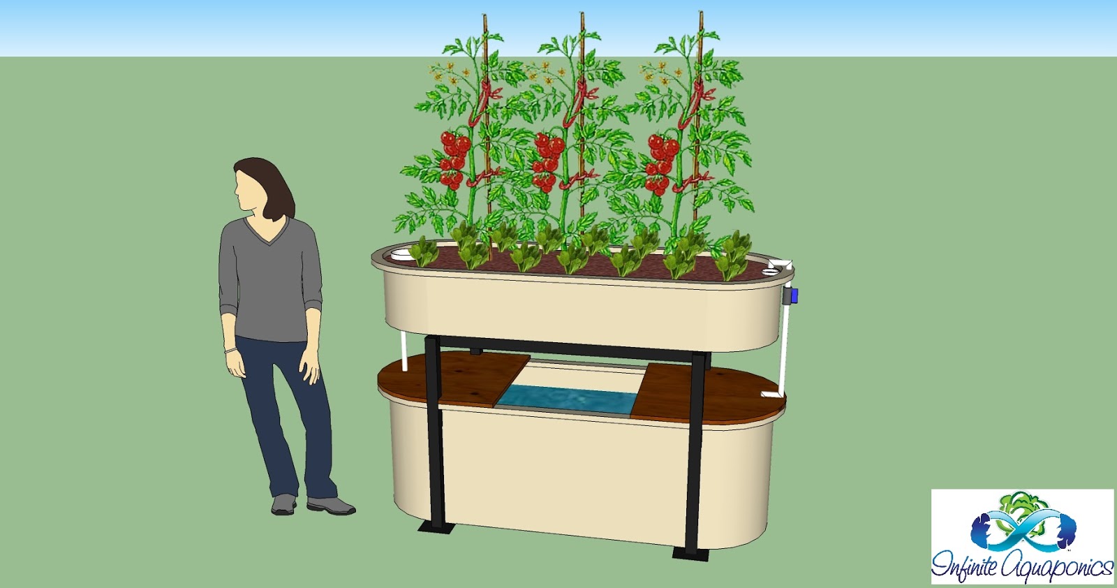 Popular Aquaponics stock tank Misle