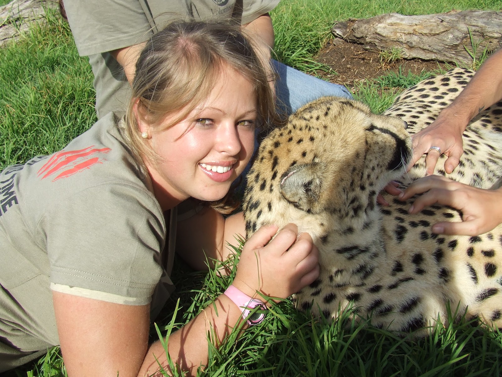 Scribbling Lau: Cheetah Walk