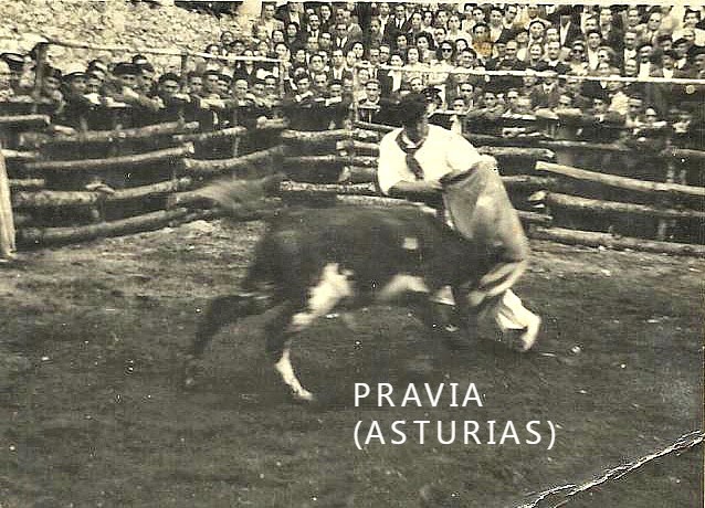 PRAVIA TOROS