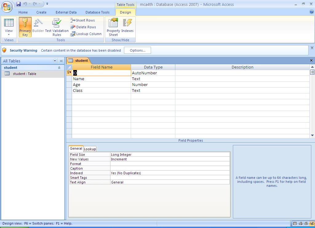 Access access field. How to use access. Поля в аксесс. Access format. Создать индекс access.