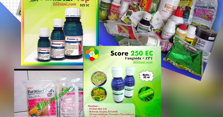 Terbukti Berbagai Obat Hama Padi Paling Ampuh Yang Paling Terpercaya Kliktani Com
