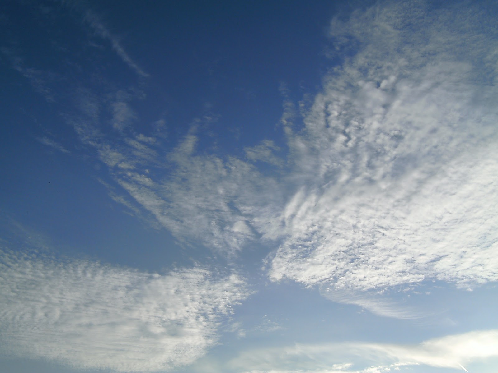 Sky Pictures Cirrocumulus Stratiformis