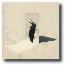#RecommendedRecord Penguin Cafe