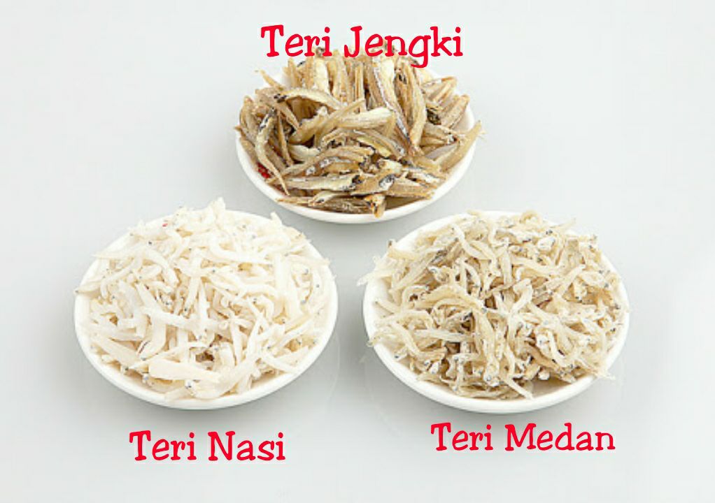 DaPuR UmMaHaT: MENGENAL JENIS-JENIS TERI