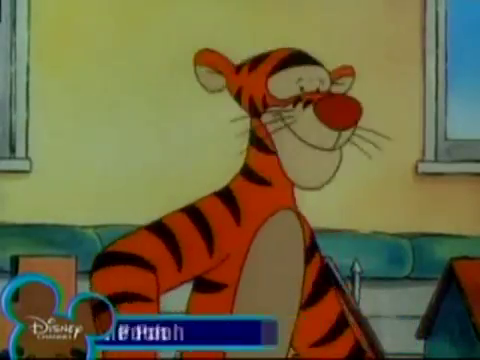 The New Adventures of Winnie The Pooh: The Good The Bad and the Tigger ...