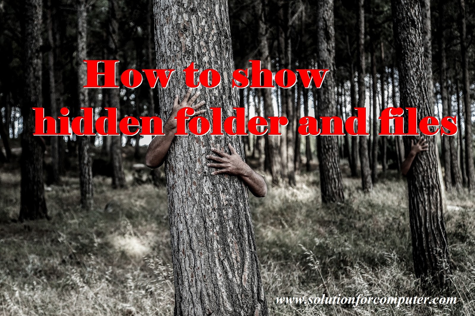 How to show hidden folder and files in windows 7.