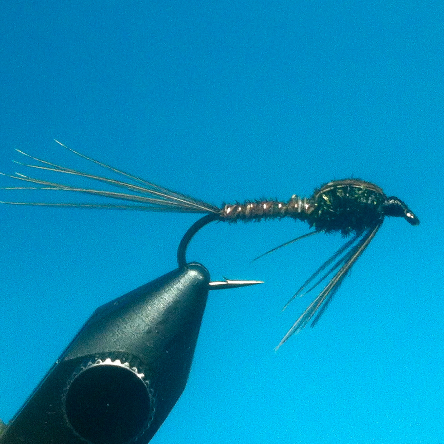 A Dozen Classic Mayfly & Attractor Patterns to Fill Your Nymph Box