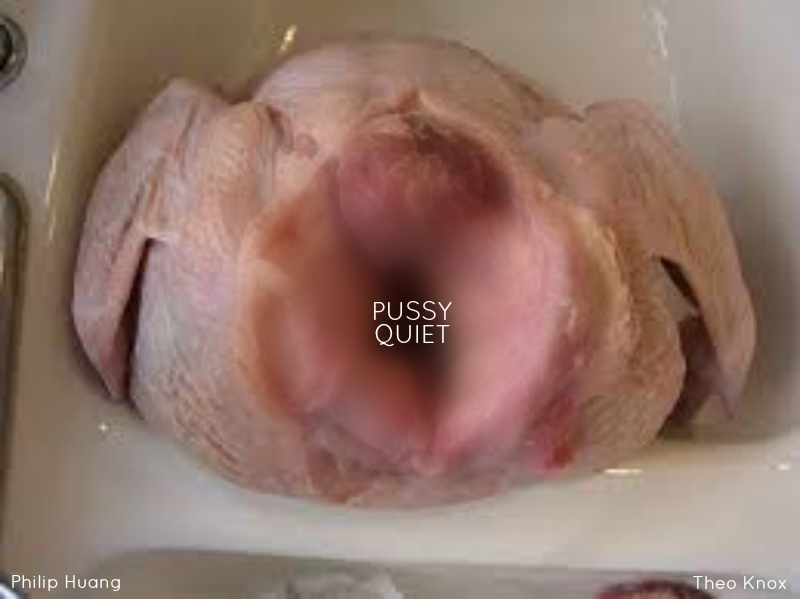 Nacked Pussy Picture Image And Wallpaper Download Filmvz Portal