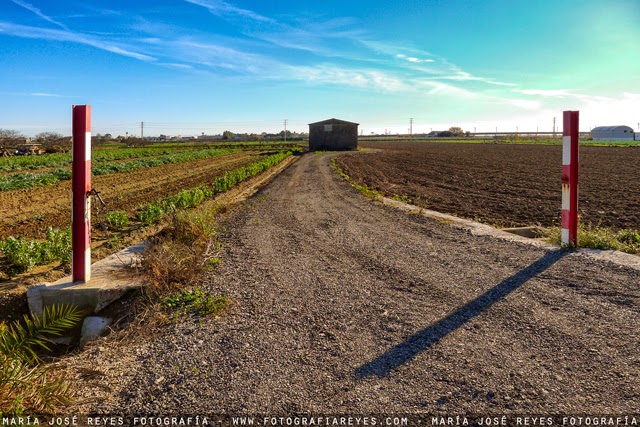  Parc agrari del Delta del Llobregat