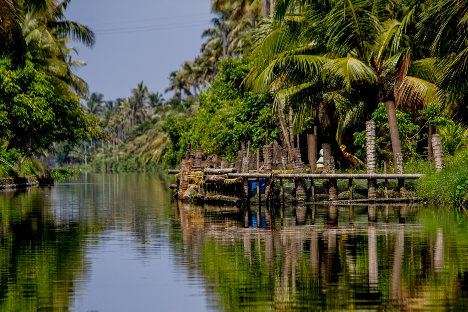 Photography and beyond Backwaters of Kerala , india