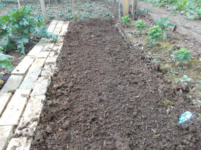 Prepared vegetable bed Sowing seeds outdoors 80 Minute Allotment Green Fingered Blog