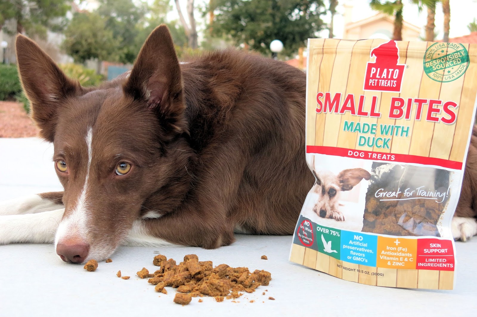 Sweet Sundance Review Plato Pet Treats