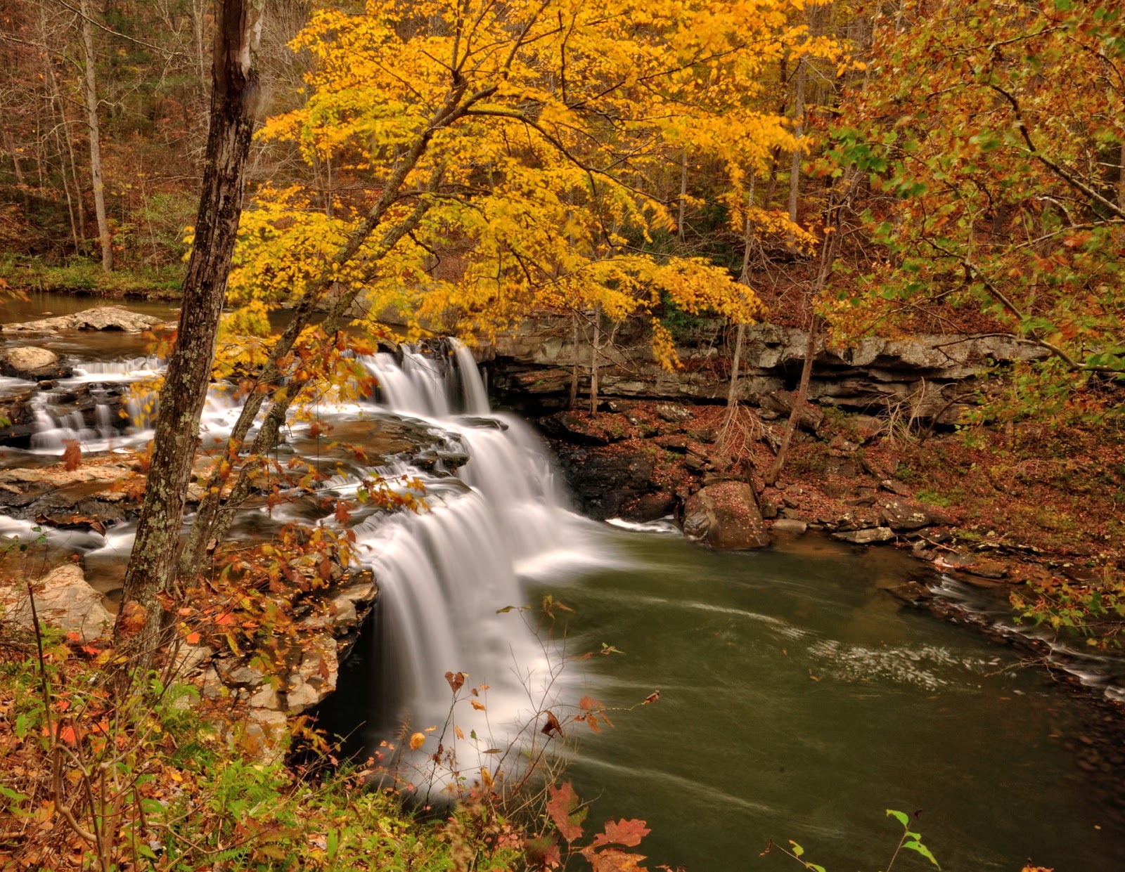 Discover West Virginia Brush Creek Falls Trail Short Hike to a Tall