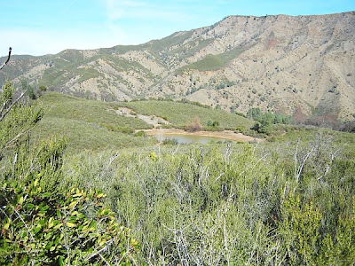 Cache Creek Natural Area, Frogpond Reservoir and Cortina Ridge