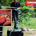 Hentak kepala abang sehingga mati kerana tanah pusaka