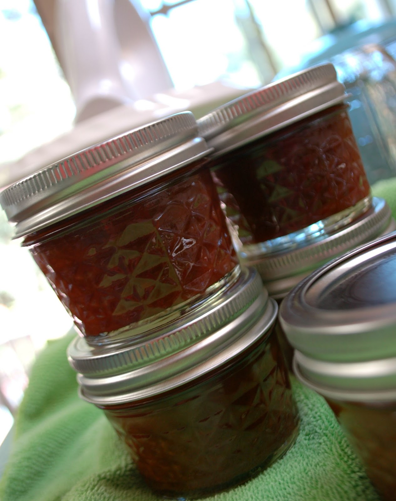 The Spice Garden Tangy Chinese Plum Sauce