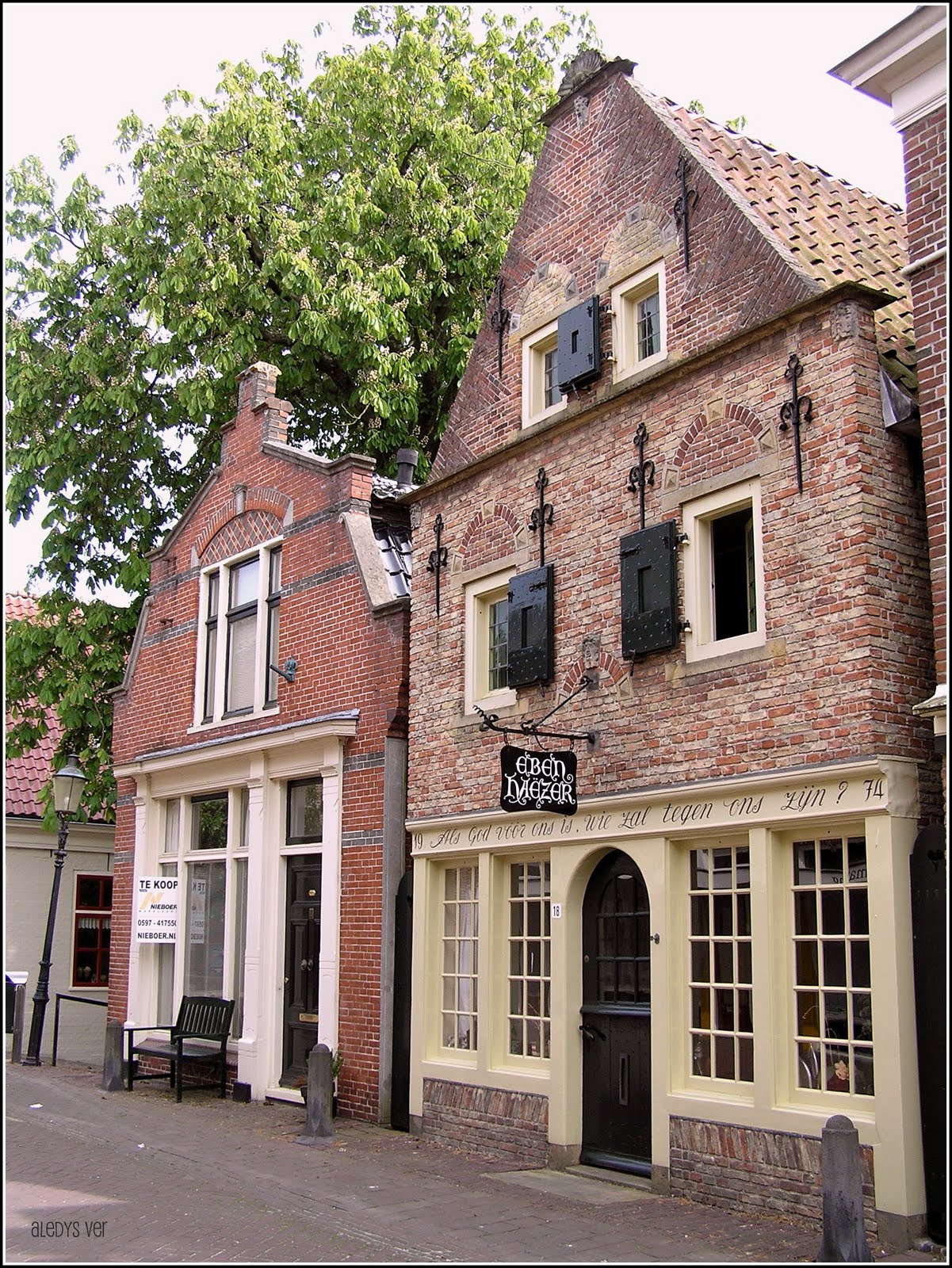 From Argentina to the Netherlands, for Love! The Netherlands and its