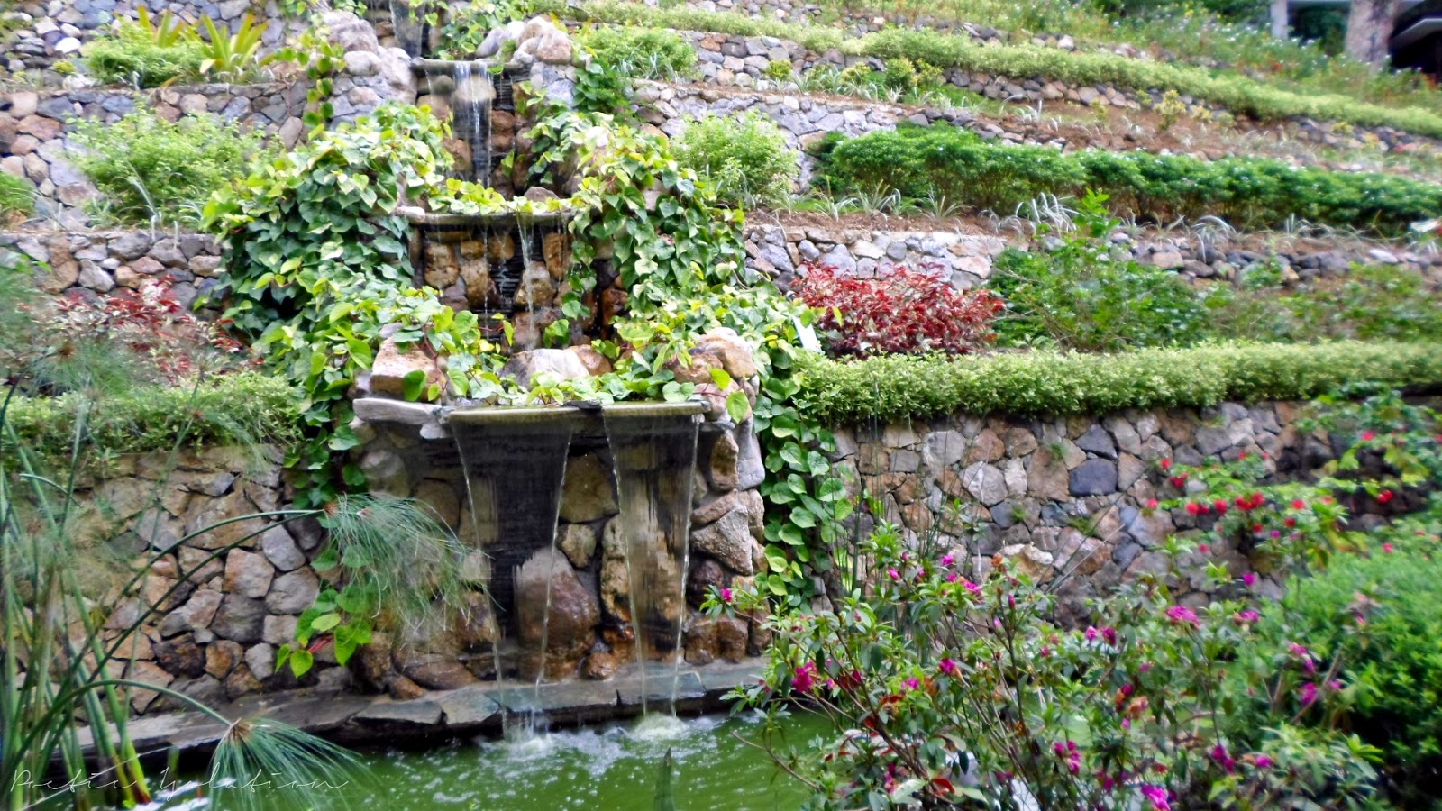 Poetic Isolation Terrazas De Flores Botanical Garden Cebu