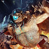 Jaegers y Kaijus en los nuevos posters para la película "Titanes del Pacífico"