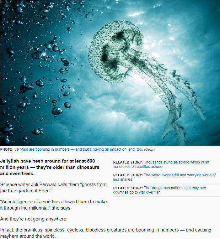 Just Watching the Wheels Go Round Jellyfish A Ubiquitous Creature?