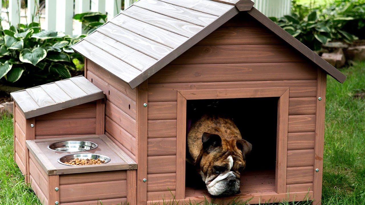 German Shepherd Dog Houses German Choices