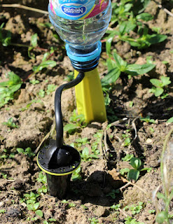 The drip watering thing - very clever The drip watering thing - very clever