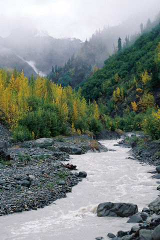 Hd Wallpaper Download For Mobile Screen Mp3