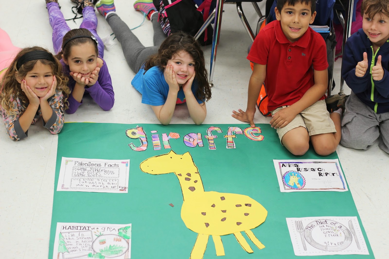 animal research project for kindergarten