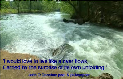 Image result for perennial river like life