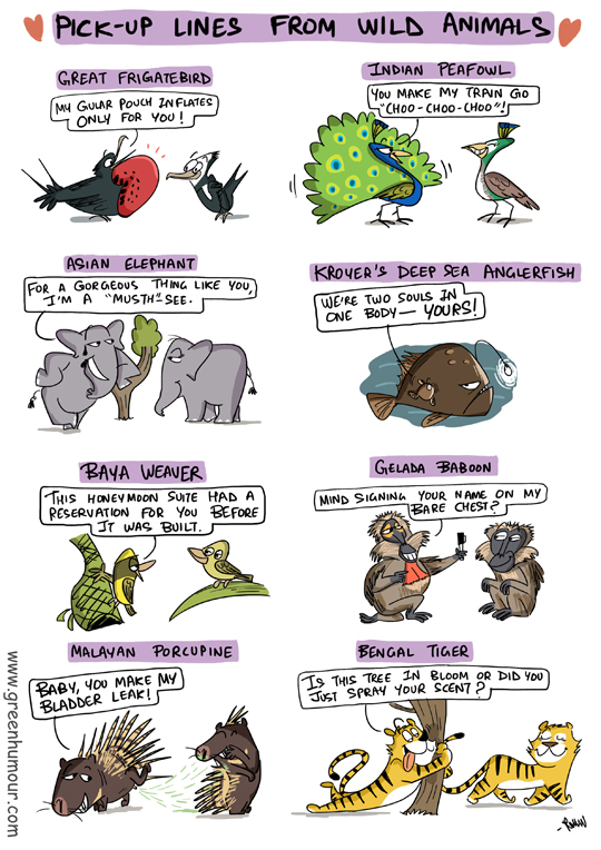 Green Humour: Pick up Lines from Wild Animals