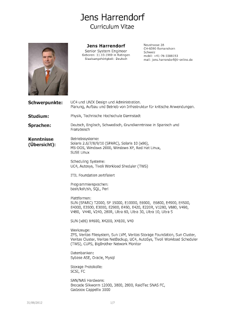 american cv format download