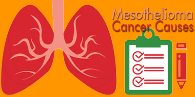 Mesothelioma Cancer Causes