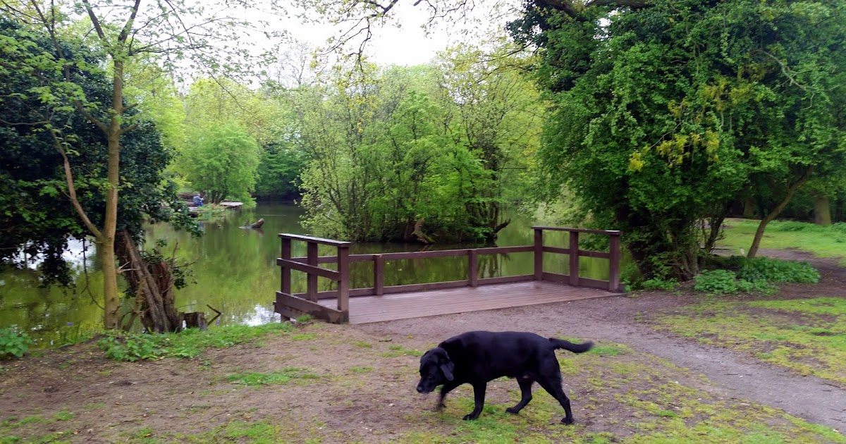 My Adventures 3 Bluebell Walk, The Manor ,Harold Hill 28.04.18
