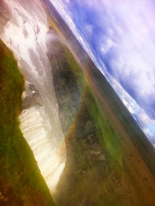 In the Middle How Prismatic Ecology got its cover