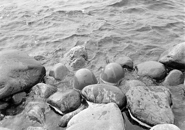 Lunkula island, Jumitsa bay on the south side of village of Varpahainen. Helmets of dead Russians, on July 28, 1941.