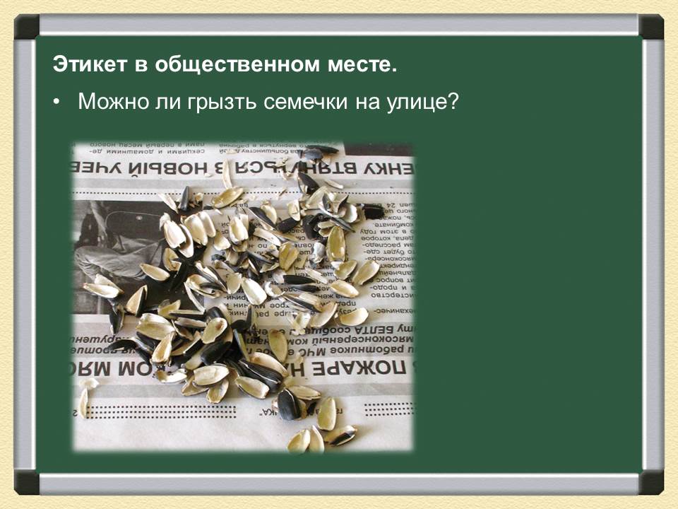 Почему грызут семечки. Семечки при диабете 2 типа. Грызть семечки. Семечки. Почему грызут семечки.