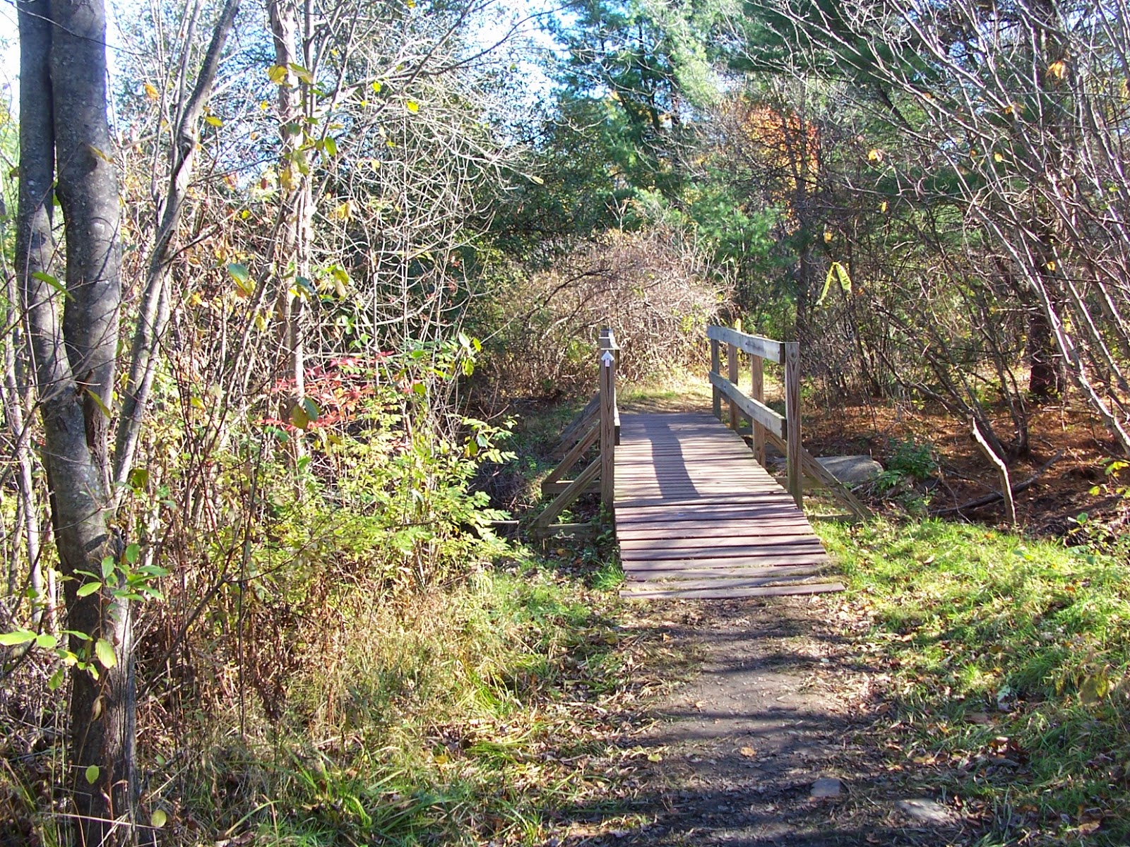 trail at Dacey Field