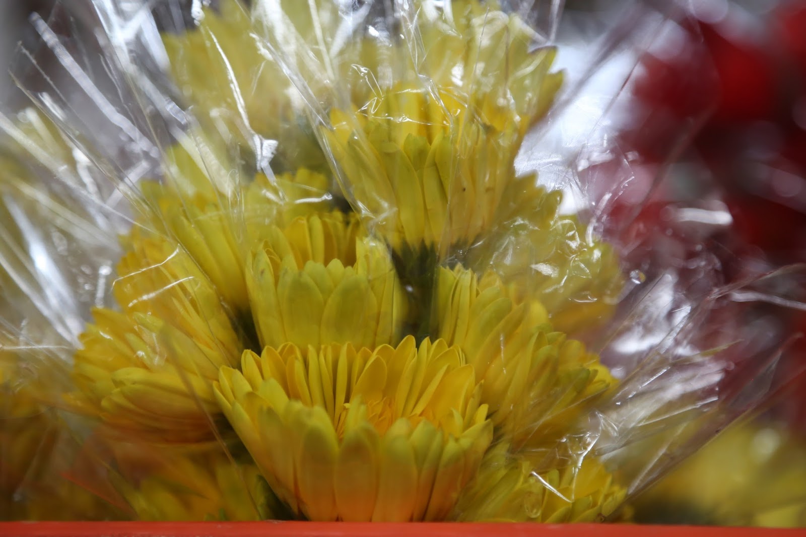 fresh-flower-wholesale-online-shop
