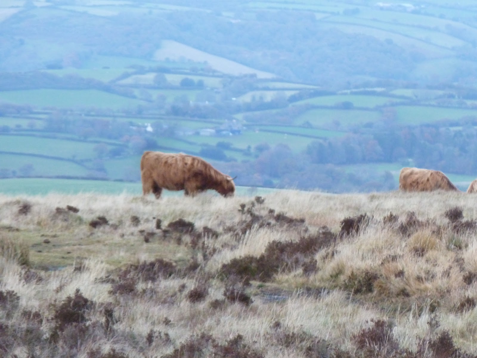 Pension lawyer meets world Exeter and Dartmoor