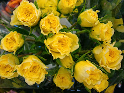 roses yellow rose bouquet flowers wallpapers bouquets backgrounds friendship 1600 seen never garden