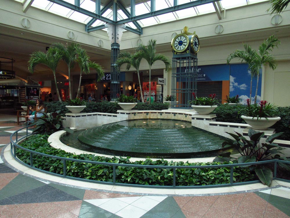 plant fountain