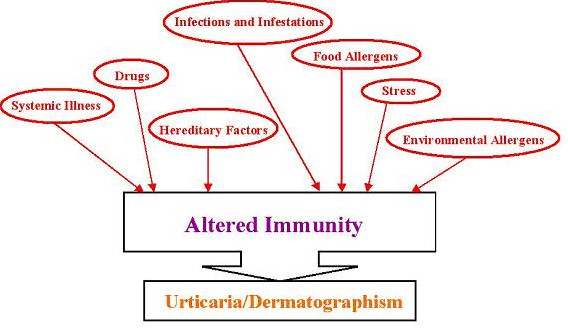 Dermographism Urticaria: Background, Pathophysiology and ...