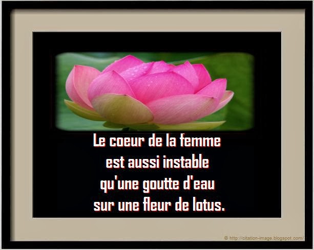 Citation sur la femme Citation sur la femme