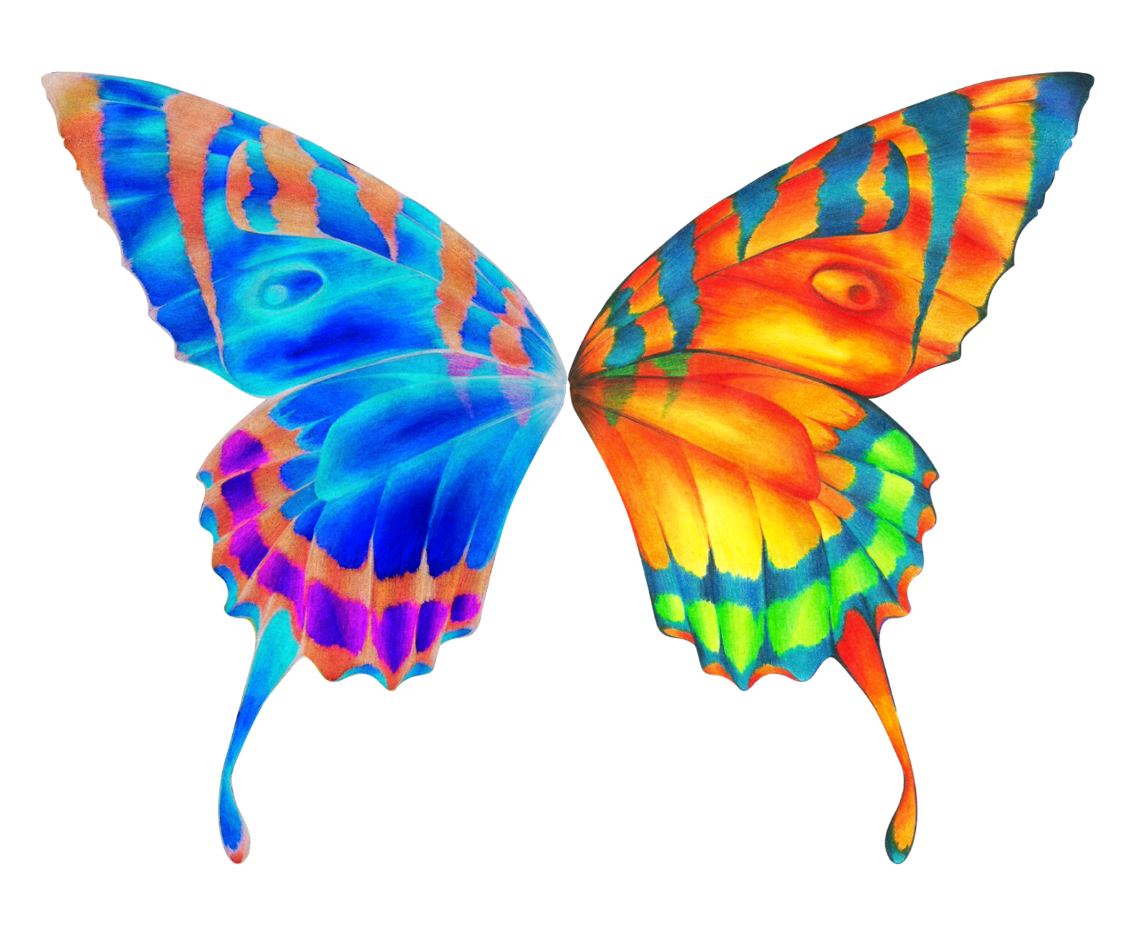 News Butterfly: Butterfly Wings