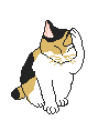 Animation Bundle: Animated Cats Jumping Playing and Running Around See
