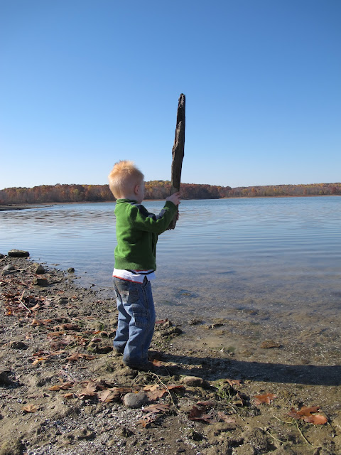 Porter Finds a Big Stick to Throw into the Lake