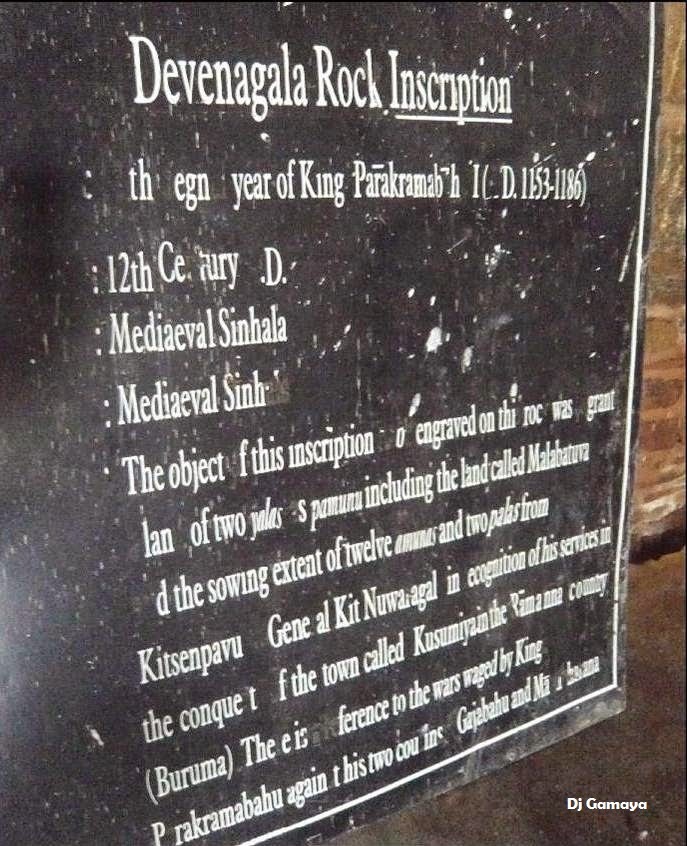 Picture8.jpg