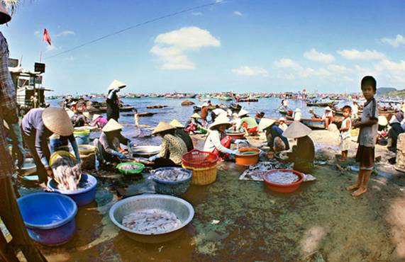 Experiencing the Simple Life in Ham Ninh Fishing Village Experiencing the Simple Life in Ham Ninh Fishing Village