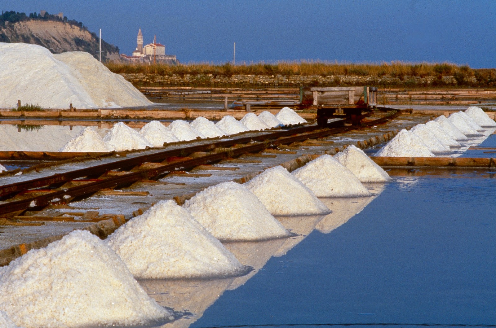 Tecniche di Produzione del Sale