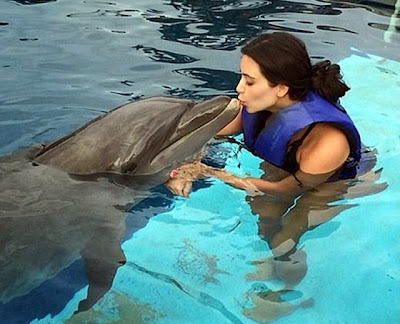 Kim Kardashian kisses dolphin animal love